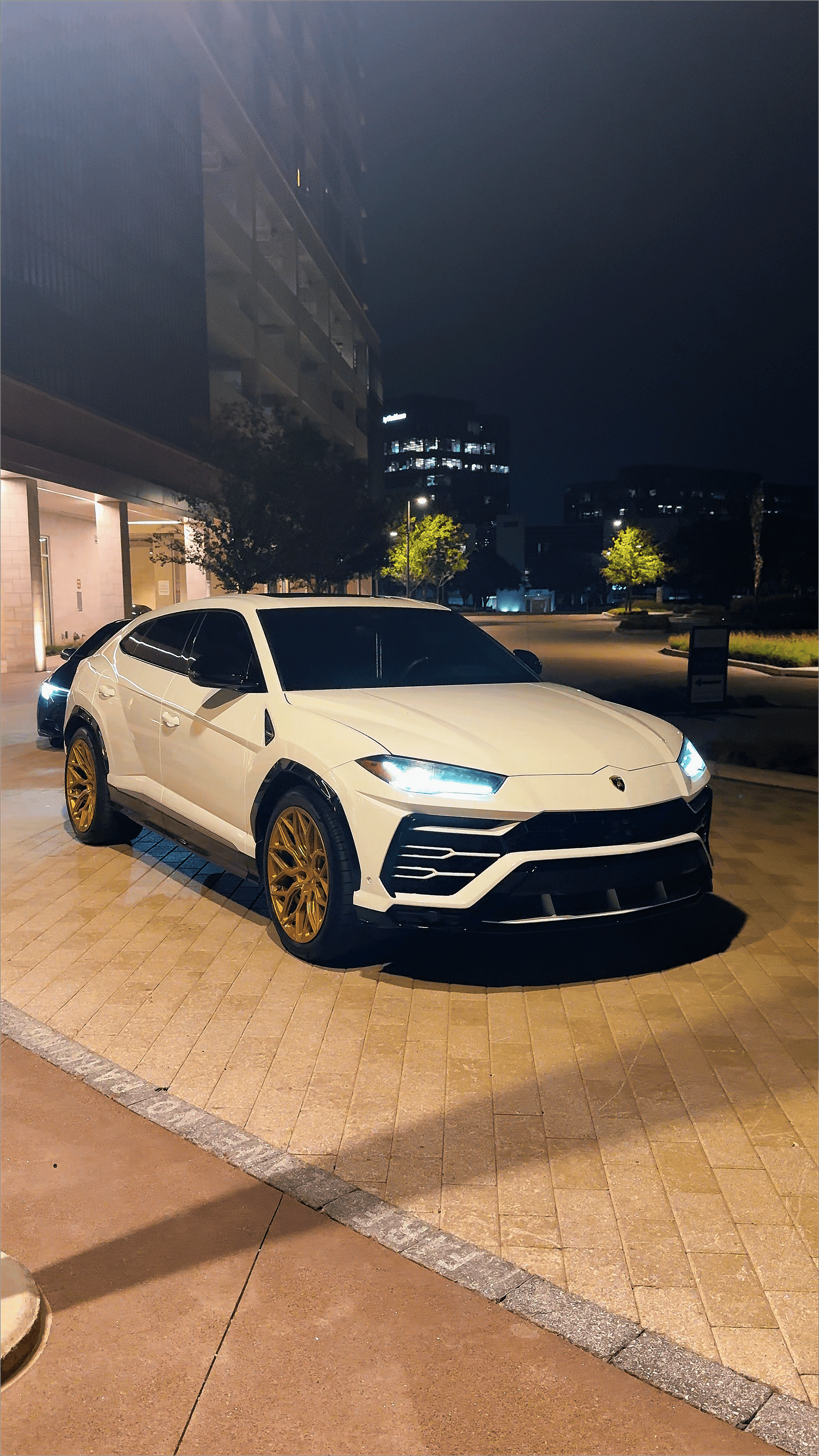 TruGloss Detailing - Premium Car Detail